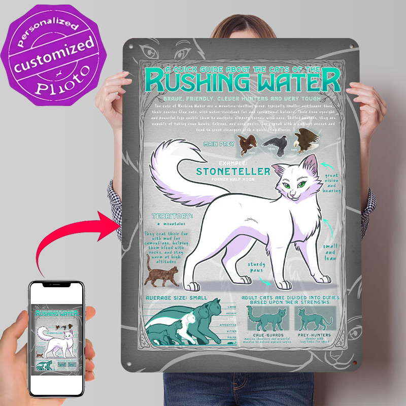 Retro Gaming Guide - Poster in Metallo 'Guide to Rushing